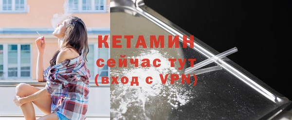 скорость Каменка