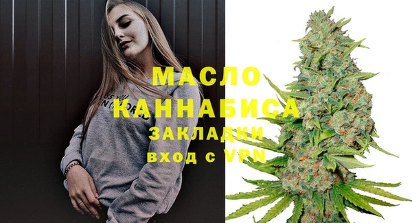 скорость Каменка