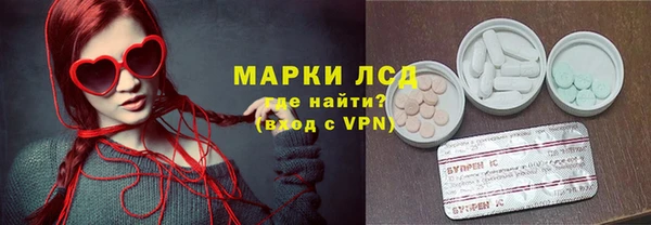 эйфоретик Каменногорск